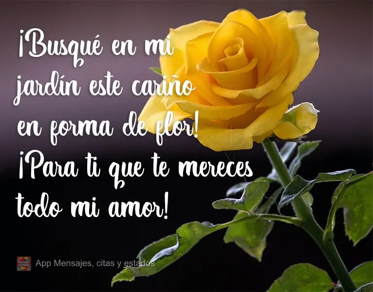 ¡Busqué en mi jardín este cariño en forma de flor! ¡Para ti que te mereces todo mi amor!