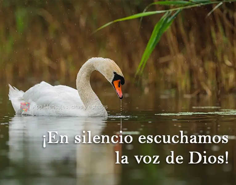 É no silêncio que escutamos a voz de Deus!
