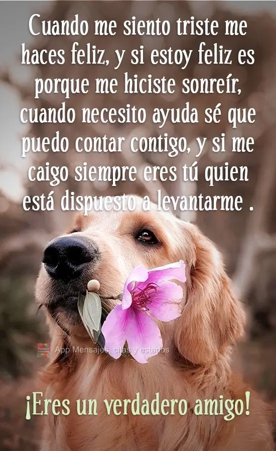 Cuando me siento triste me haces feliz, y si estoy feliz es porque me hiciste sonreír, cuando necesito ayuda sé que puedo contar contigo, y si me caigo...