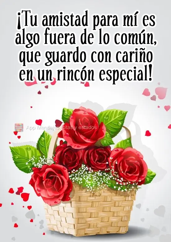 ¡Tu amistad para mí es algo fuera de lo común, que guardo con cariño en un rincón especial!