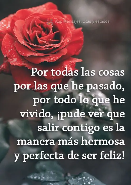 Por todas las cosas por las que he pasado, por todo lo que he vivido, ¡pude ver que salir contigo es la manera más hermosa y perfecta de ser feliz!