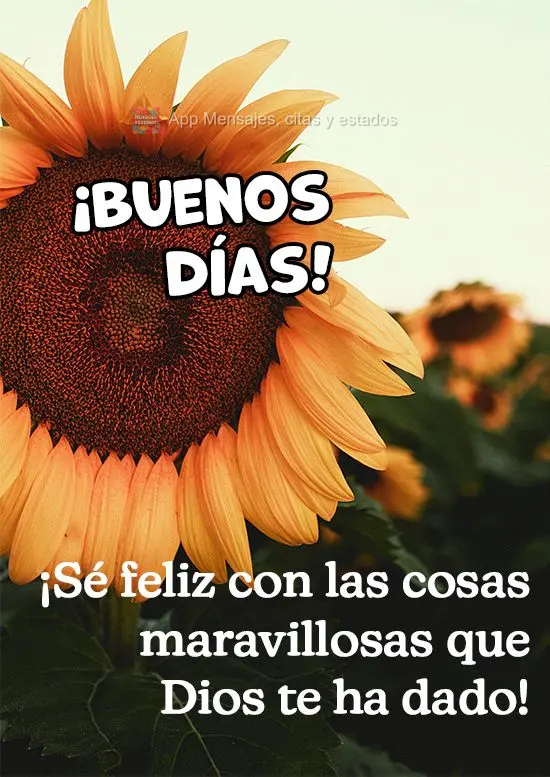 Seja feliz com as coisas maravilhosas que Deus te presenteou!
 Bom Dia! 