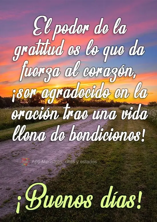 El poder de la gratitud es lo que da fuerza al corazón, ¡ser agradecido en la oración trae una vida llena de bendiciones! ¡Buenos días!