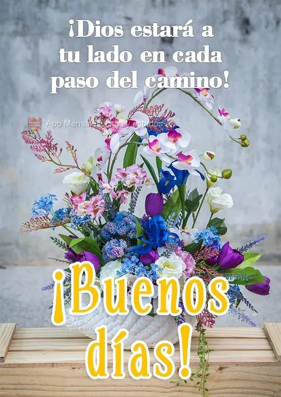 Deus estará ao seu lado em cada passo que você der!
  Bom Dia!