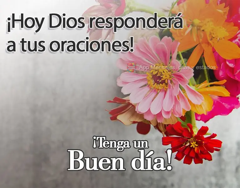 Hoje Deus vai atender as suas preces! 
 Tenha um Bom dia!