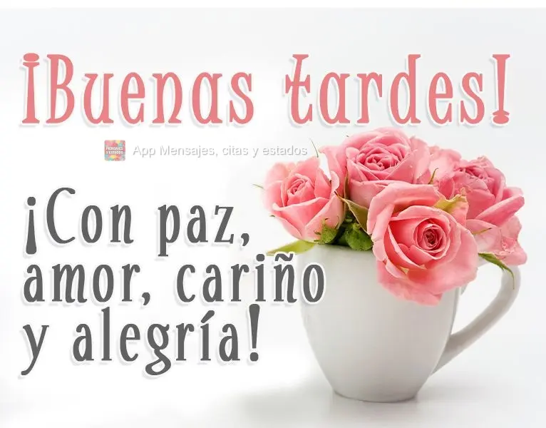 ¡Buenas tardes! ¡Con paz, amor, cariño y alegría!