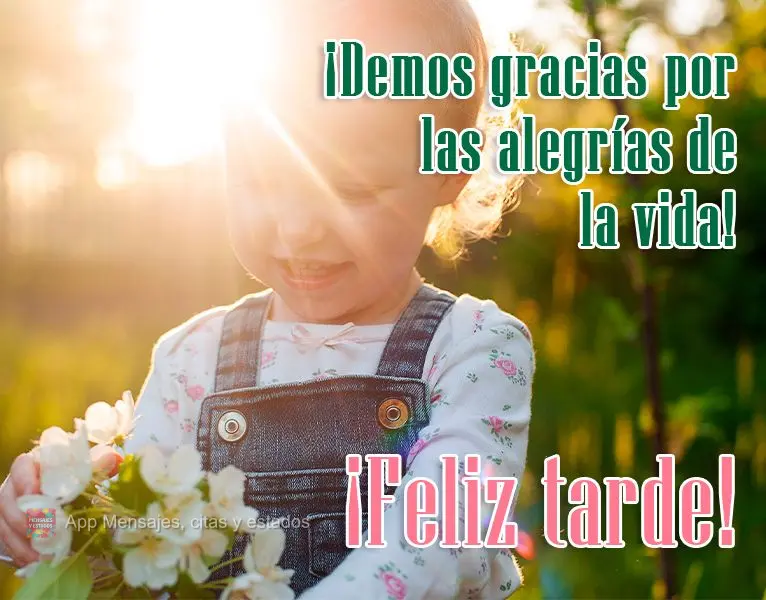 Vamos agradecer pelas alegrias da vida! 
 Feliz Tarde!