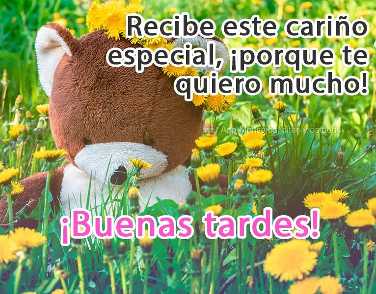 Recibe este cariño especial, ¡porque te quiero mucho! ¡Buenas tardes!