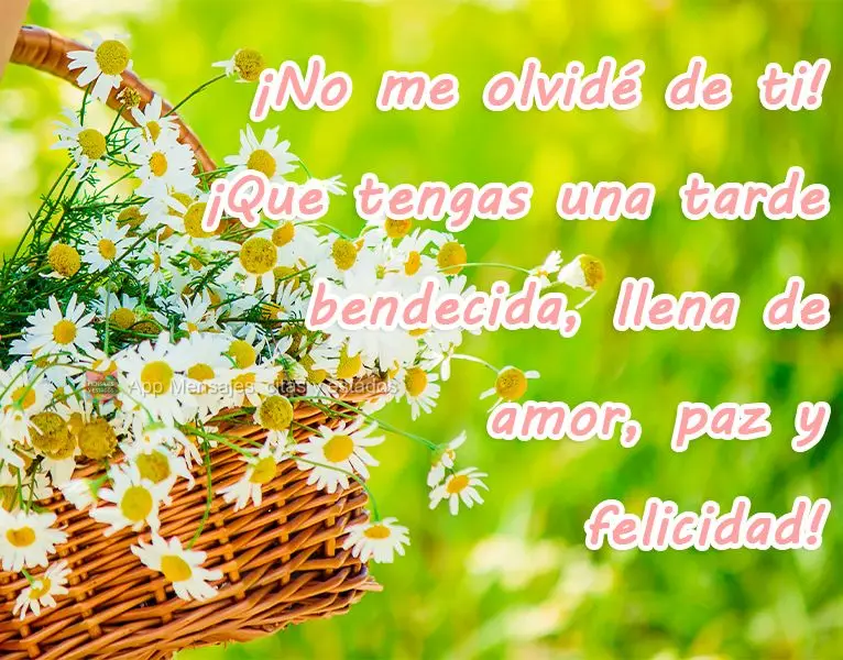 Não esqueci de você! Tenha uma tarde abençoada, cheia de amor, paz e felicidade!
