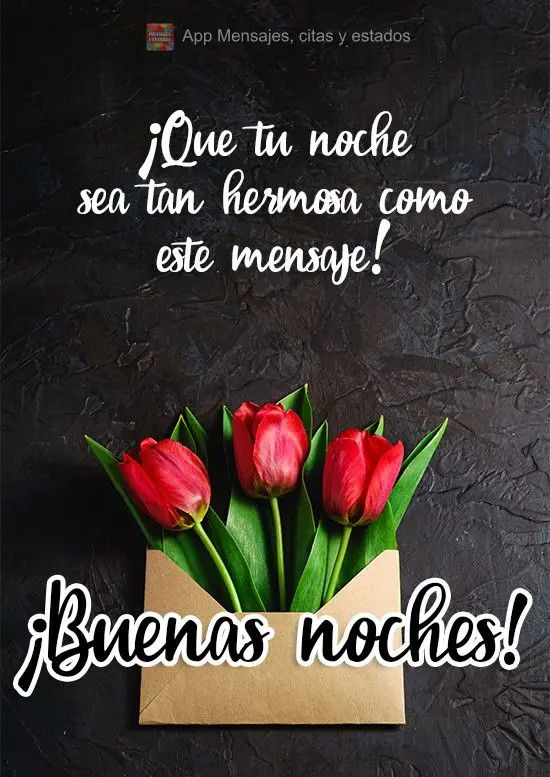 Que sua noite seja tão bonita quanto essa mensagem! Boa Noite!
