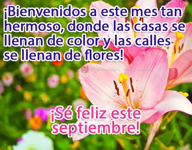 ¡Bienvenidos a este mes tan hermoso, donde las casas se llenan de color y las calles se llenan de flores! ¡Sé feliz este septiembre!