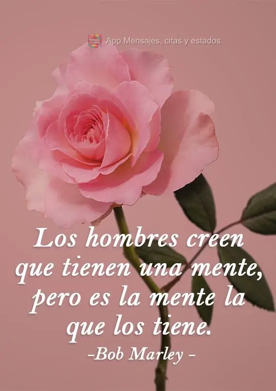 Os homens pensam que possuem uma mente, mas é a mente que os possui. Bob Marley