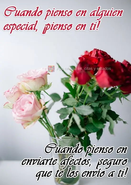 Cuando pienso en alguien especial, ¡pienso en ti! Cuando pienso en enviarte afectos, ¡seguro que te los envío a ti!