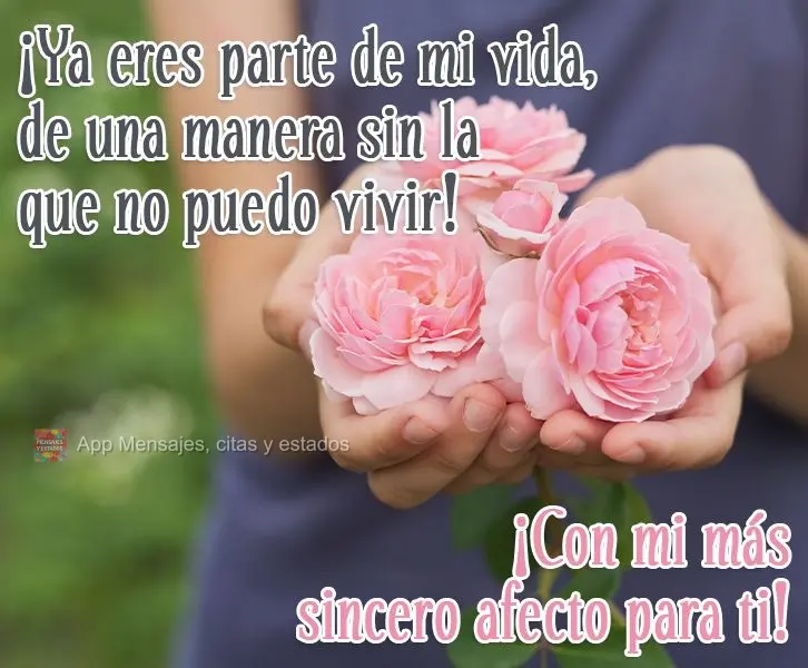 Você já faz parte da minha vida de um modo que não posso mais viver sem! Com meus mais sinceros carinhos para você!
