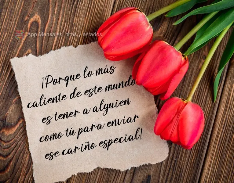 ¡Porque lo más caliente de este mundo es tener a alguien como tú para enviar ese cariño especial!