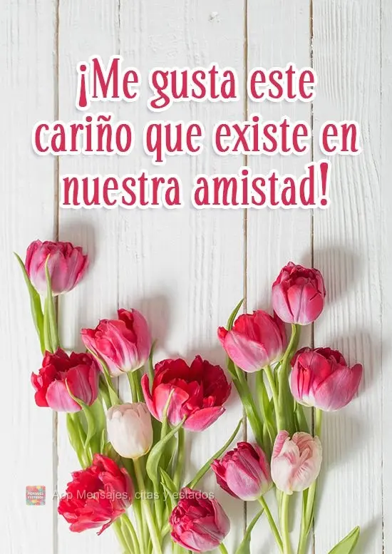 ¡Me gusta este cariño que existe en nuestra amistad!