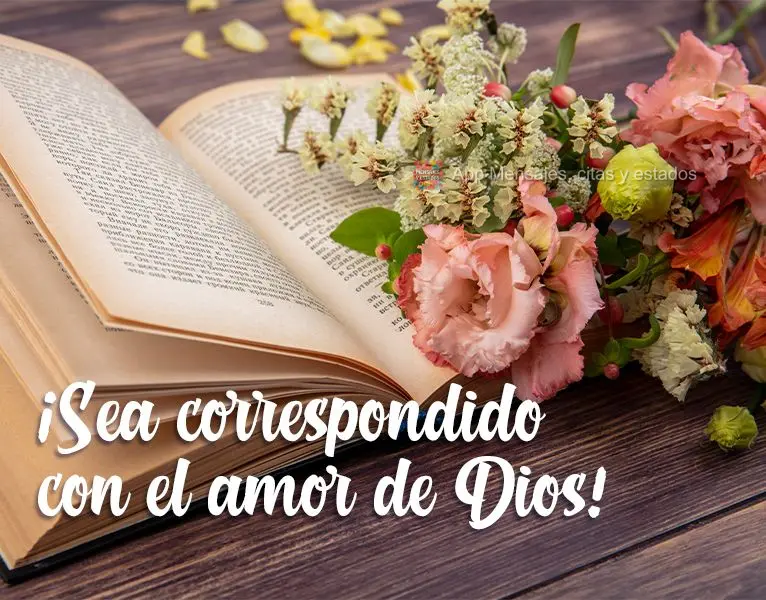 Seja recíproco com o amor de Deus!
