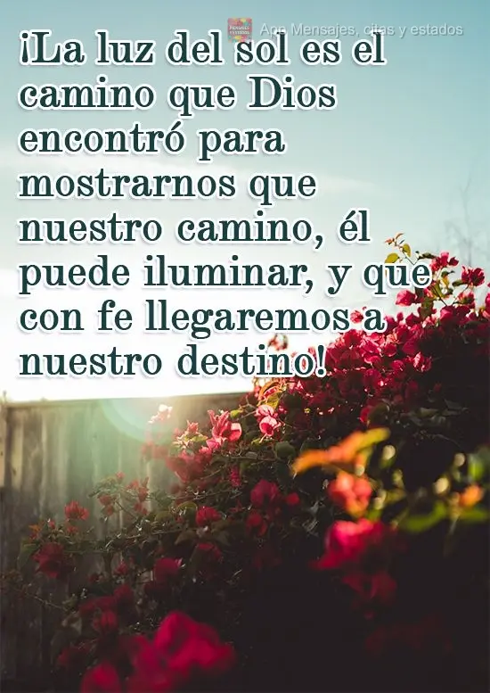 A luz do sol é a forma que Deus encontrou para nos mostrar que nosso caminho ele pode iluminar, e que com fé ao nosso destino iremos chegar!
