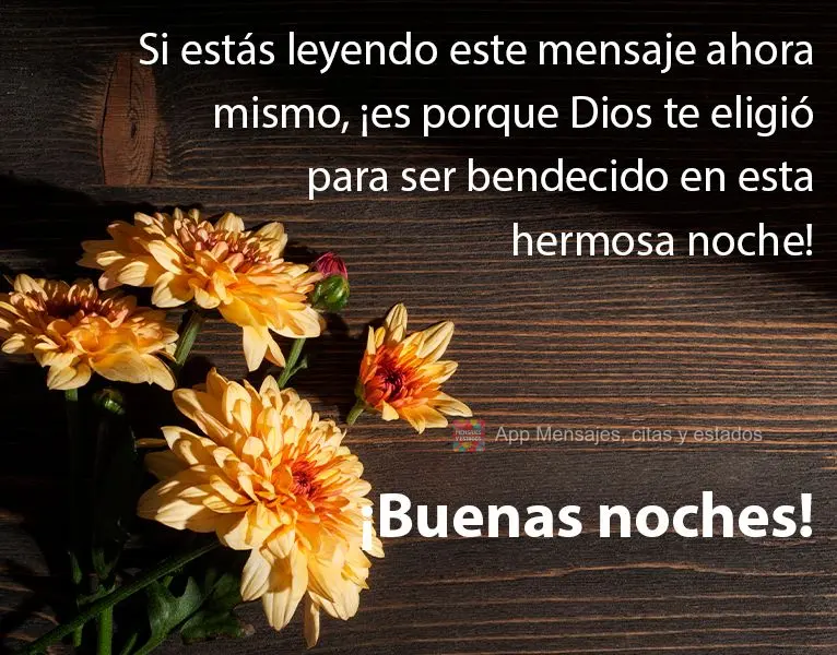 Se está lendo essa mensagem neste momento, foi porque Deus escolheu você para ser abençoado nesta linda noite! 
 Boa Noite!