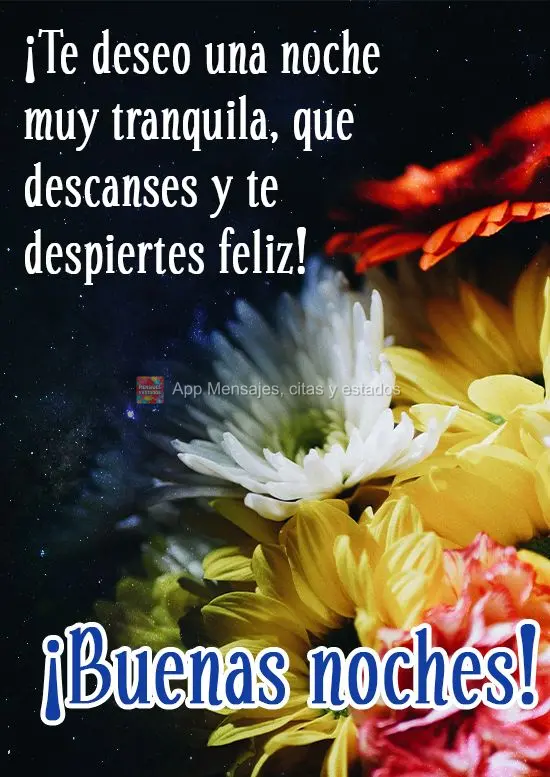 Te desejo uma noite de muita paz, para você descansar e acordar feliz!
  Boa Noite!