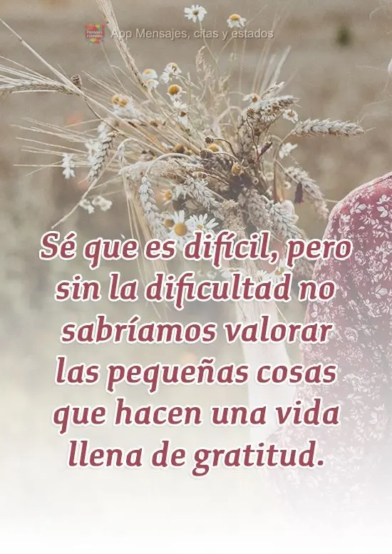 Sé que es difícil, pero sin la dificultad no sabríamos valorar las pequeñas cosas que hacen una vida llena de gratitud.