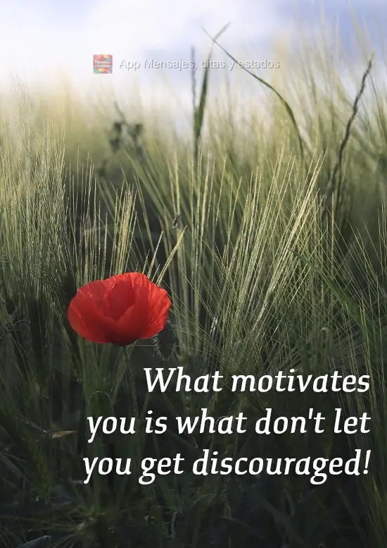 ¡Lo que te motiva a continuar es lo que no te defrauda!