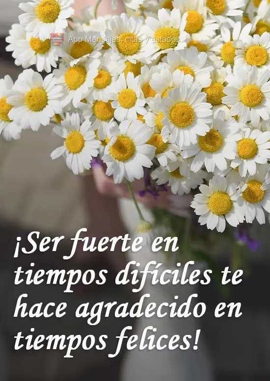 Ser forte nos momentos difíceis faz você ser grato nos momentos felizes! 
