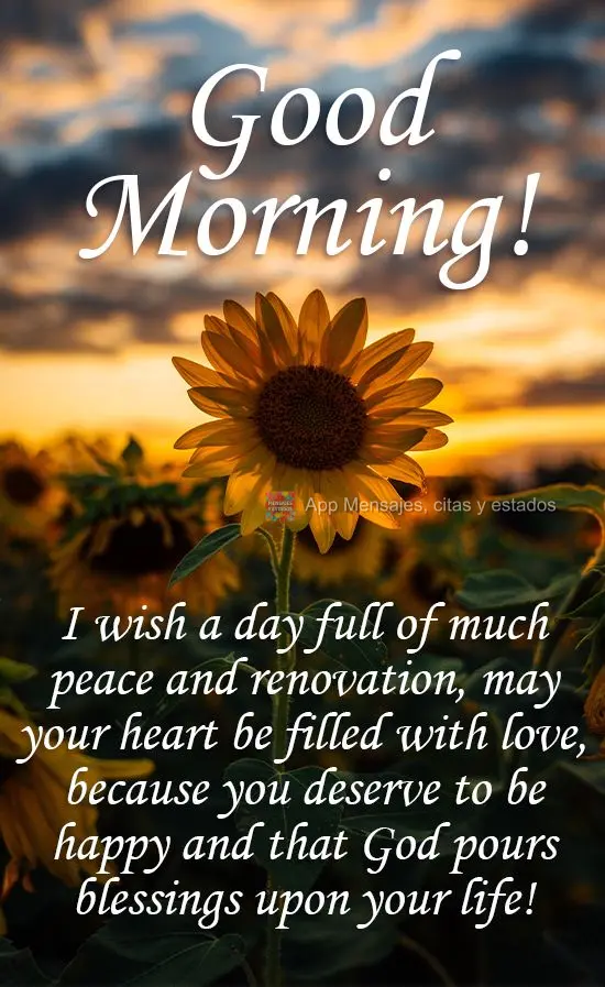 Desejo um dia de muita paz e renovação, que se encha de amor esse seu coração, porque você merece ser feliz; e que sobre sua vida que Deus derrame s...