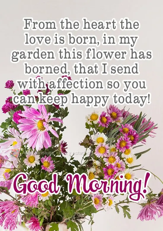 Del corazón nace el amor, de mi jardín nació esta flor, que con cariño envío para que hoy seas feliz! ¡Buen día!