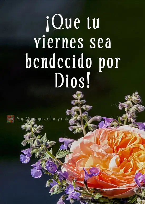 ¡Que tu viernes sea bendecido por Dios!
