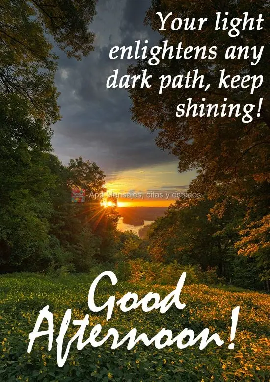 Tua luz ilumina qualquer caminho escuro, continue brilhando! 
 Boa Tarde!