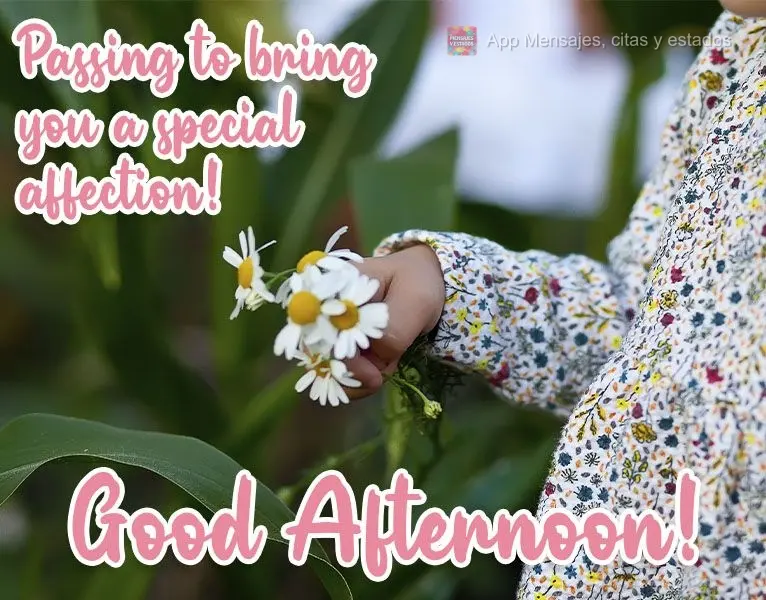 Passando pra te trazer um carinho especial! 
 Boa Tarde!