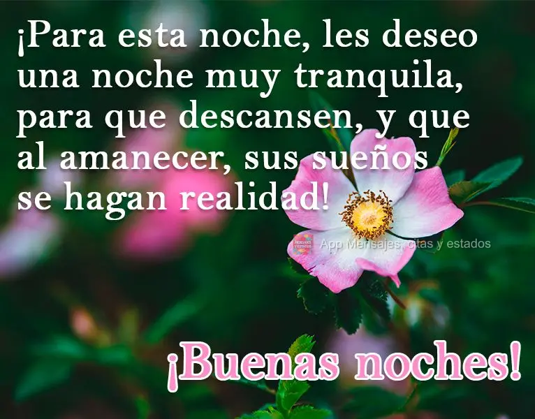 Para esta noite desejo uma noite de muita paz, para que você possa descansar. E que ao amanhecer, seus sonhos possam se realizar! 
 Boa noite!
