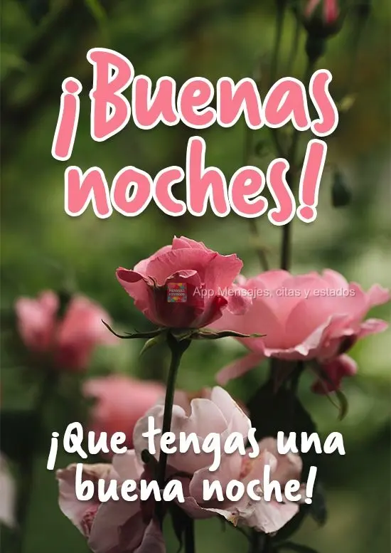 Tenha uma noite agradável!
 Boa Noite!