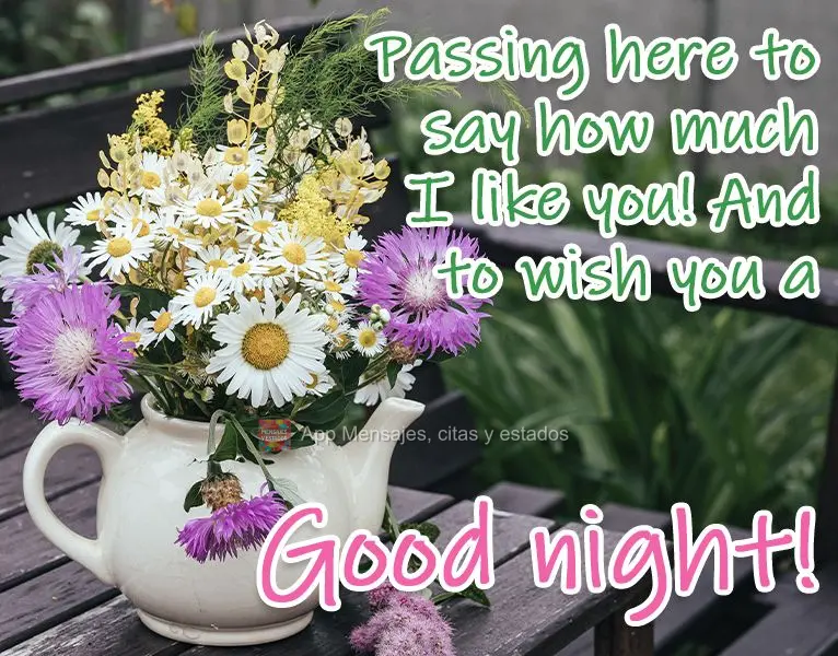 Passando aqui para dizer o quanto gosto de você! E desejar uma Boa Noite!

