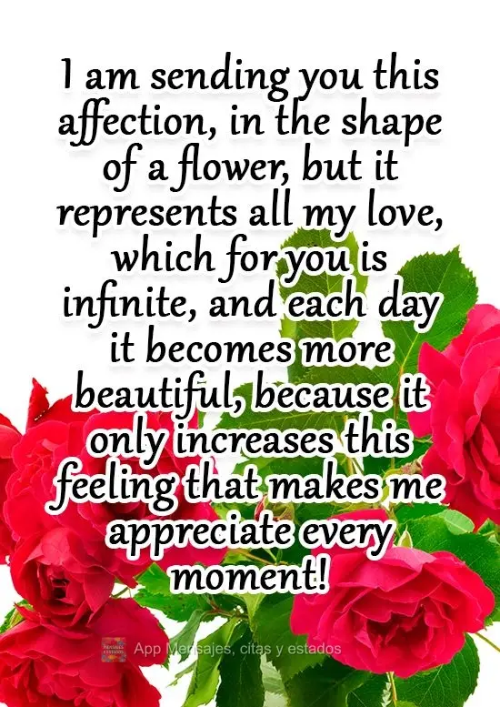 Te envío este cariño, en forma de flor, pero representa todo mi amor, que para ti es infinito, y cada día se vuelve más lindo, porque solo aumenta es...