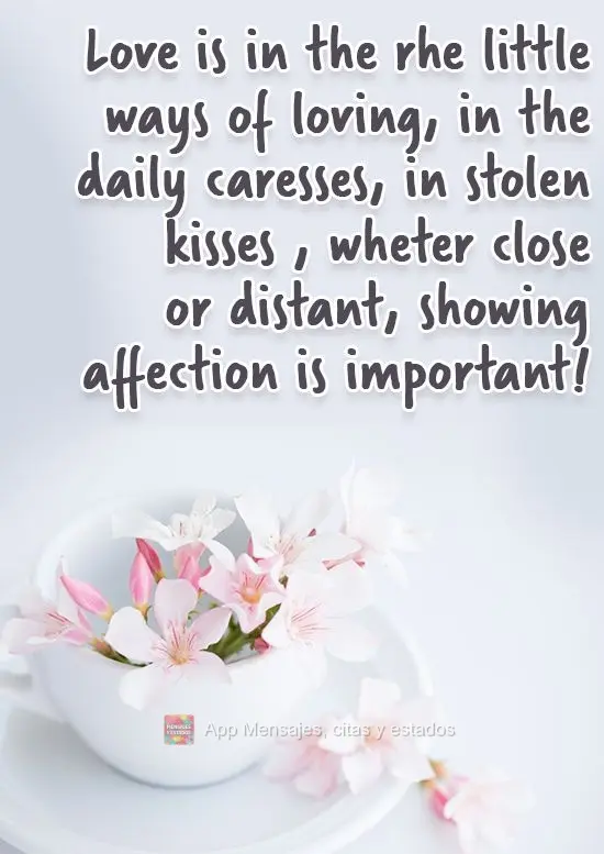 El amor está en las pequeñas formas de amar, en las caricias diarias, en los besos robados, ya sean cercanos o lejanos, ¡mostrar cariño es importante...