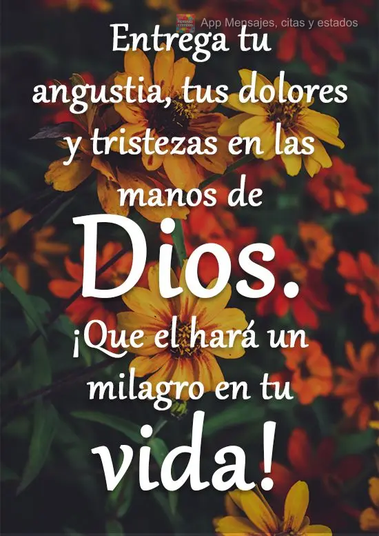 Entrega tu angustia, tus dolores y tristezas en las manos de Dios. ¡Que el hará un milagro en tu vida!
