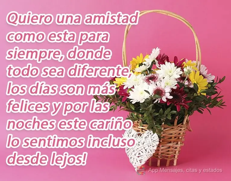 Quiero una amistad como esta para siempre, donde todo sea diferente, los días son más felices y por las noches este cariño lo sentimos incluso desde l...