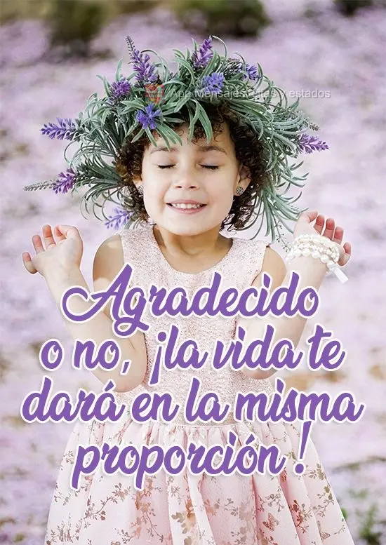 Agradecido o no, ¡la vida te dará en la misma proporción!