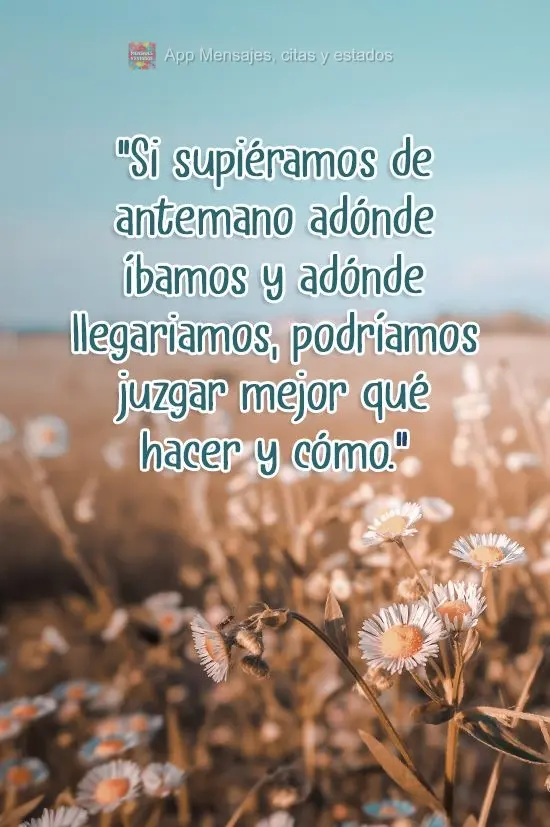 "Si supiéramos de antemano adónde íbamos y adónde llegariamos, podríamos juzgar mejor qué hacer y cómo". Autor desconocido