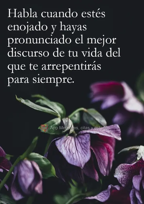 Fale quando estiver com raiva e terá feito o melhor discurso de sua vida, do qual se arrependerá para sempre.