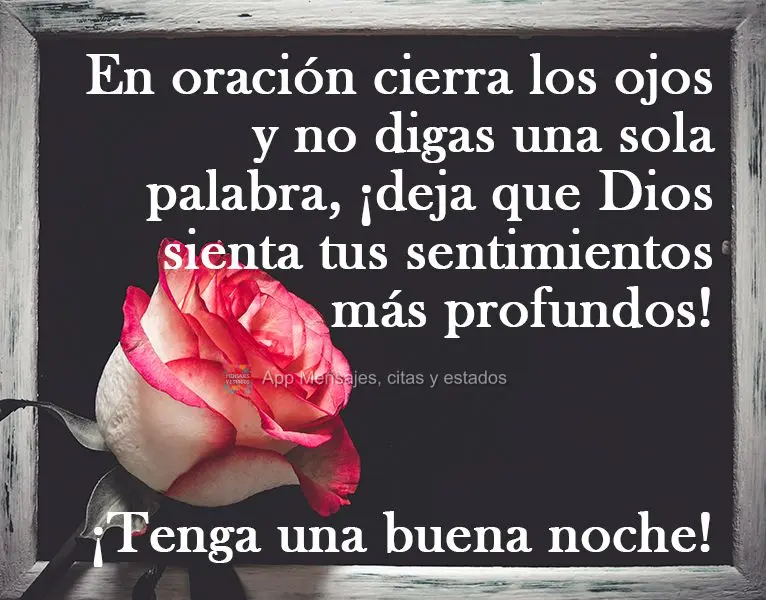 Em oração, feche seus olhos e não diga uma só palavra, deixa que Deus sinta seus sentimentos mais profundos!
  Tenha uma Boa noite!