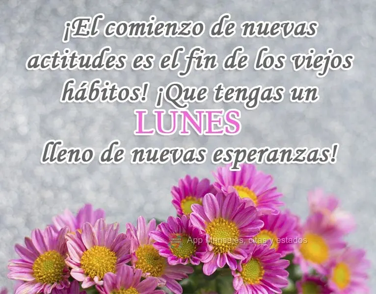 ¡El comienzo de nuevas actitudes es el fin de los viejos hábitos! ¡Que tengas un lunes lleno de nuevas esperanzas!