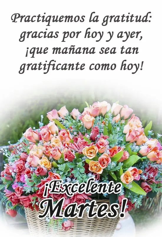 Practiquemos la gratitud: gracias por hoy y ayer, ¡que mañana sea tan gratificante como hoy! ¡Excelente martes!