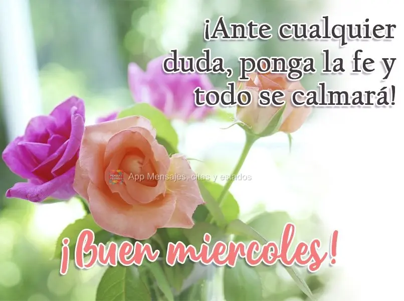 ¡Ante cualquier duda, ponga la fe y todo se calmará! ¡Buen miercoles!