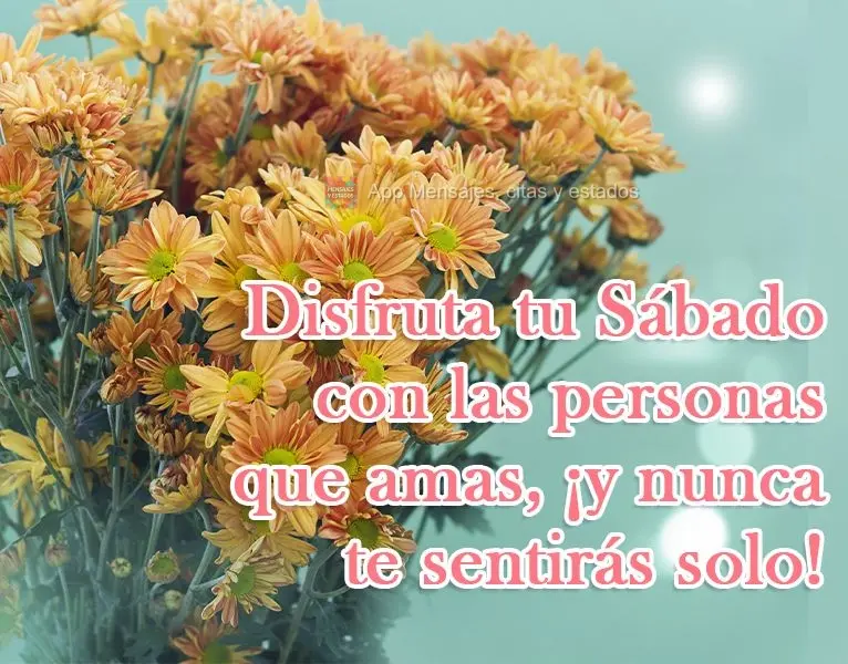 Disfruta tu sábado con las personas que amas, ¡y nunca te sentirás solo!