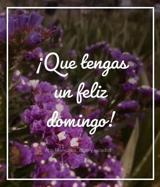 ¡Que tengas un feliz domingo!