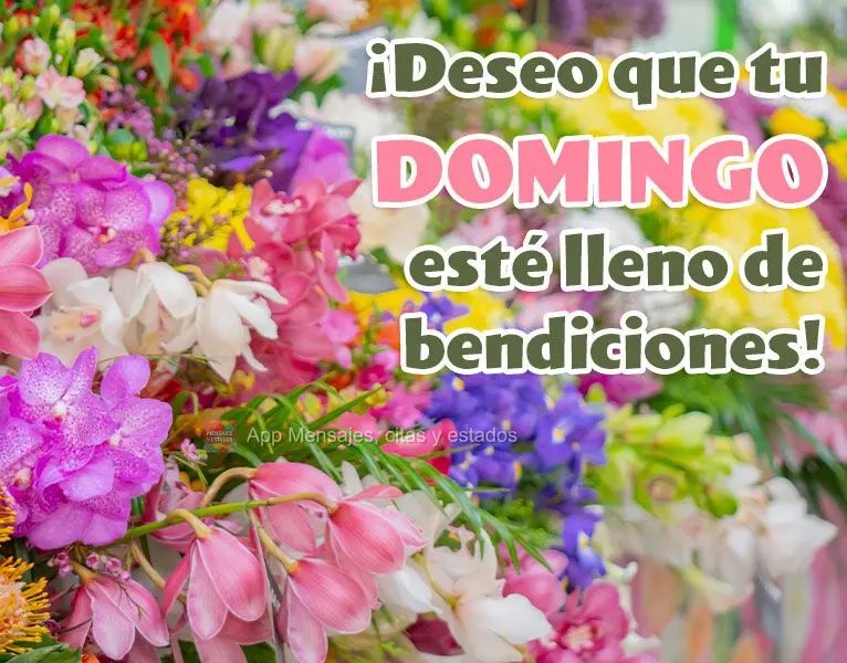 ¡Deseo que tu domingo esté lleno de bendiciones!