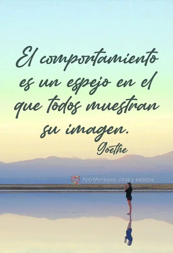 El comportamiento es un espejo en el que todos muestran su imagen. Goethe